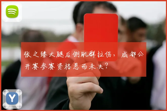 张之臻大腿后侧肌群拉伤,成都公开赛参赛资格悬而未决?